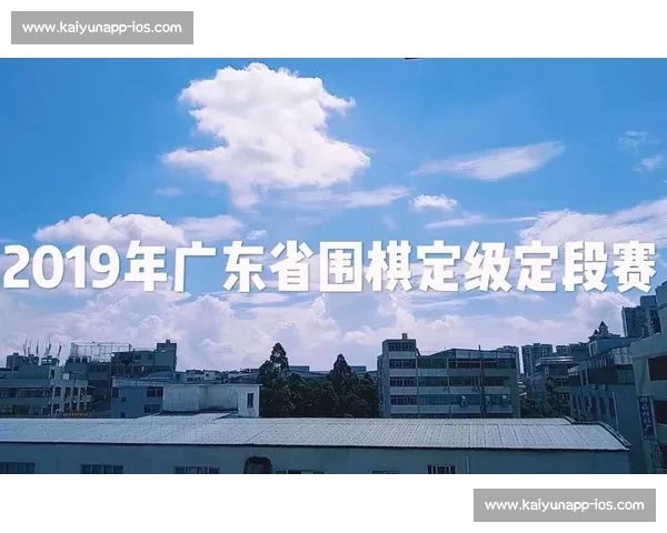 围棋定级定段:解锁成长的多维密码 围棋定级定段:解锁成长的多维密码